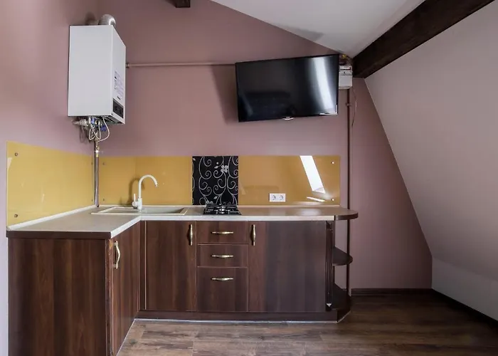 Apartamento On Lychakivska *