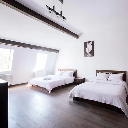 公寓 On Lychakivska 利沃夫